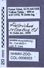 Etiketten zu Acteniceromorphus selectus (Candèze, 1865) (NHMW-ZOO-COL-0008303)